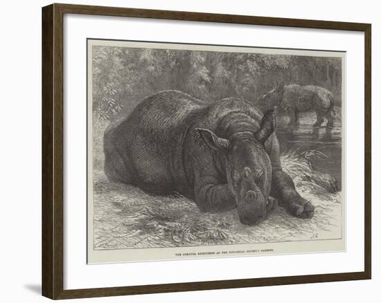 The Sumatra Rhinoceros at the Zoological Society's Gardens-Johann Baptist Zwecker-Framed Giclee Print
