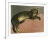 The Summer, Cat on a Railing; L'Ete, Chat Sur Une Balustrade, 1909-Théophile Alexandre Steinlen-Framed Giclee Print