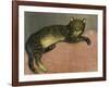 The Summer, Cat on a Railing; L'Ete, Chat Sur Une Balustrade, 1909-Théophile Alexandre Steinlen-Framed Giclee Print