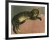 The Summer, Cat on a Railing; L'Ete, Chat Sur Une Balustrade, 1909-Théophile Alexandre Steinlen-Framed Giclee Print