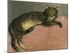 The Summer, Cat on a Railing; L'Ete, Chat Sur Une Balustrade, 1909-Théophile Alexandre Steinlen-Mounted Giclee Print