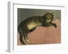 The Summer, Cat on a Railing; L'Ete, Chat Sur Une Balustrade, 1909-Théophile Alexandre Steinlen-Framed Giclee Print