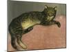 The Summer, Cat on a Railing; L'Ete, Chat Sur Une Balustrade, 1909-Théophile Alexandre Steinlen-Mounted Giclee Print