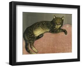 The Summer, Cat on a Railing; L'Ete, Chat Sur Une Balustrade, 1909-Théophile Alexandre Steinlen-Framed Premium Giclee Print