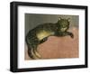 The Summer, Cat on a Railing; L'Ete, Chat Sur Une Balustrade, 1909-Théophile Alexandre Steinlen-Framed Premium Giclee Print