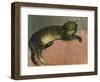 The Summer, Cat on a Railing; L'Ete, Chat Sur Une Balustrade, 1909-Théophile Alexandre Steinlen-Framed Giclee Print