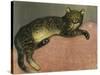 The Summer, Cat on a Railing; L'Ete, Chat Sur Une Balustrade, 1909-Théophile Alexandre Steinlen-Stretched Canvas