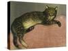 The Summer, Cat on a Railing; L'Ete, Chat Sur Une Balustrade, 1909-Théophile Alexandre Steinlen-Stretched Canvas