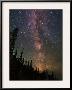 The Summer Milky Way Appears Dazzling over Yellowstone National Park-Babak Tafreshi-Framed Photographic Print