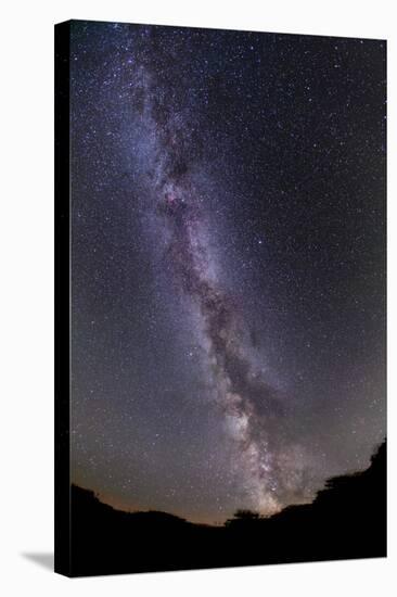 The Summer Milky Way in Southern Alberta, Canada-null-Stretched Canvas