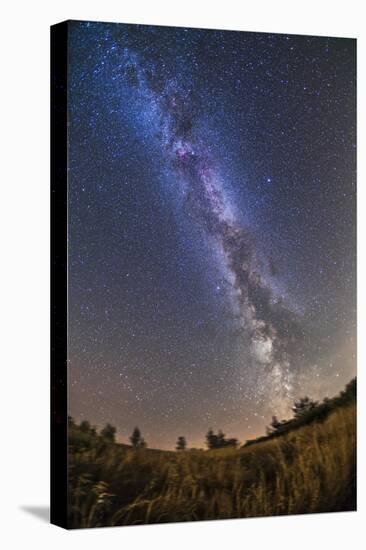 The Summer Milky Way on a Clear Moonless Evening in Alberta, Canada-null-Stretched Canvas