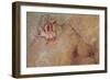 The Sun Chariot-Odilon Redon-Framed Giclee Print