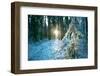The Sun Finding a Small Opening in the Snowy Forest of Koenigstuhl-Andreas Brandl-Framed Photographic Print