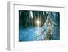 The Sun Finding a Small Opening in the Snowy Forest of Koenigstuhl-Andreas Brandl-Framed Photographic Print