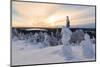 The sun frames the snowy landscape and woods in the cold arctic winter, Ruka, Kuusamo, Ostrobothnia-Roberto Moiola-Mounted Photographic Print