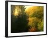 The Sun Hour-kirilstanchev-Framed Art Print