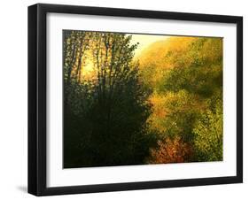 The Sun Hour-kirilstanchev-Framed Art Print