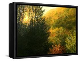 The Sun Hour-kirilstanchev-Framed Stretched Canvas