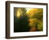 The Sun Hour-kirilstanchev-Framed Art Print