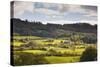 The Sun Lights Up Typical Lake District Countryside Near to Outgate, Cumbria, England, UK-Julian Elliott-Stretched Canvas