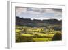 The Sun Lights Up Typical Lake District Countryside Near to Outgate, Cumbria, England, UK-Julian Elliott-Framed Photographic Print