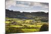 The Sun Lights Up Typical Lake District Countryside Near to Outgate, Cumbria, England, UK-Julian Elliott-Mounted Photographic Print