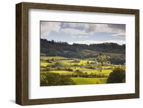 The Sun Lights Up Typical Lake District Countryside Near to Outgate, Cumbria, England, UK-Julian Elliott-Framed Photographic Print