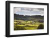 The Sun Lights Up Typical Lake District Countryside Near to Outgate, Cumbria, England, UK-Julian Elliott-Framed Photographic Print