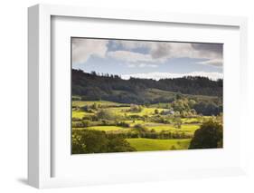 The Sun Lights Up Typical Lake District Countryside Near to Outgate, Cumbria, England, UK-Julian Elliott-Framed Photographic Print