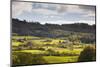 The Sun Lights Up Typical Lake District Countryside Near to Outgate, Cumbria, England, UK-Julian Elliott-Mounted Photographic Print