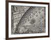 The Sun, Moon and Stars-Camille Flammarion-Framed Giclee Print