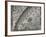 The Sun, Moon and Stars-Camille Flammarion-Framed Giclee Print