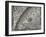 The Sun, Moon and Stars-Camille Flammarion-Framed Giclee Print