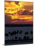 The Sun Sets Over the Bay of San Juan, Puerto Rico-null-Mounted Premium Photographic Print
