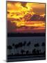 The Sun Sets Over the Bay of San Juan, Puerto Rico-null-Mounted Photographic Print