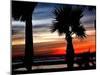 The Sun Sets Over the Laguna Madre Bay and the Queen Isabella Causeway-null-Mounted Premium Photographic Print