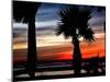 The Sun Sets Over the Laguna Madre Bay and the Queen Isabella Causeway-null-Mounted Photographic Print