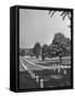 The Sun Shining Down on the Arlington Cemetery-Yale Joel-Framed Stretched Canvas