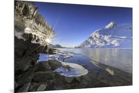 The Sun Shining Through Icicles on the Shores of Lake Bianco, Canton of Graubunden. Engadine-ClickAlps-Mounted Photographic Print