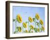 The Sun Worshippers, 2011-Rebecca Campbell-Framed Premium Giclee Print