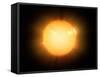 The Sun, X-ray Image-Detlev Van Ravenswaay-Framed Stretched Canvas