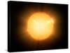 The Sun, X-ray Image-Detlev Van Ravenswaay-Stretched Canvas