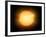 The Sun, X-ray Image-Detlev Van Ravenswaay-Framed Photographic Print