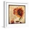 the Sun-Joadoor-Framed Art Print