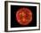 The Sun-null-Framed Premium Photographic Print