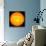 The Sun-null-Stretched Canvas displayed on a wall