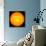 The Sun-null-Photographic Print displayed on a wall