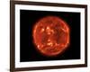 The Sun-null-Framed Photographic Print