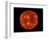 The Sun-null-Framed Photographic Print