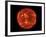 The Sun-null-Framed Photographic Print